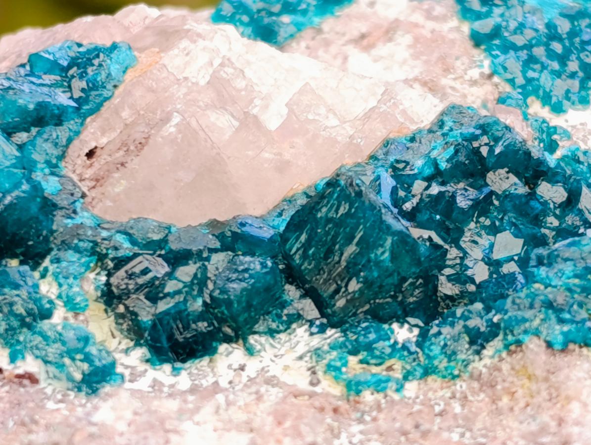 Natural Dioptase On Dolomite Specimen x 1 From Tantara Mine, Congo