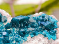 Natural Dioptase On Dolomite Specimen x 1 From Tantara Mine, Congo