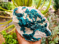 Natural Dioptase On Dolomite Specimen x 1 From Tantara Mine, Congo