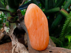 Polished Orange Twist Calcite Standing Free Forms x 2 From Maevantanana, Madagascar