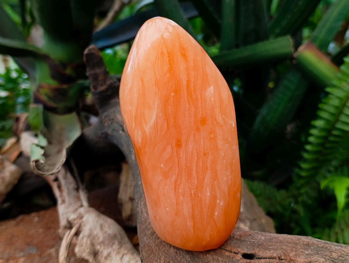 Polished Orange Twist Calcite Standing Free Forms x 2 From Maevantanana, Madagascar