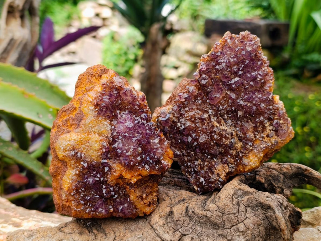 Natural Large Dark Purple Amethyst Quartz Crystal Plates x 6 From Boekenhouthoek, South Africa