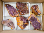 Natural Large Dark Purple Amethyst Quartz Crystal Plates x 6 From Boekenhouthoek, South Africa