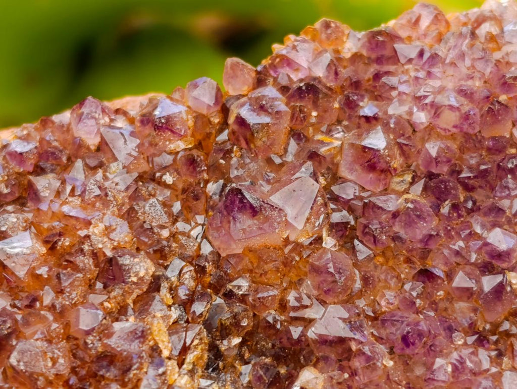 Natural Large Dark Purple Amethyst Quartz Crystal Plates x 6 From Boekenhouthoek, South Africa