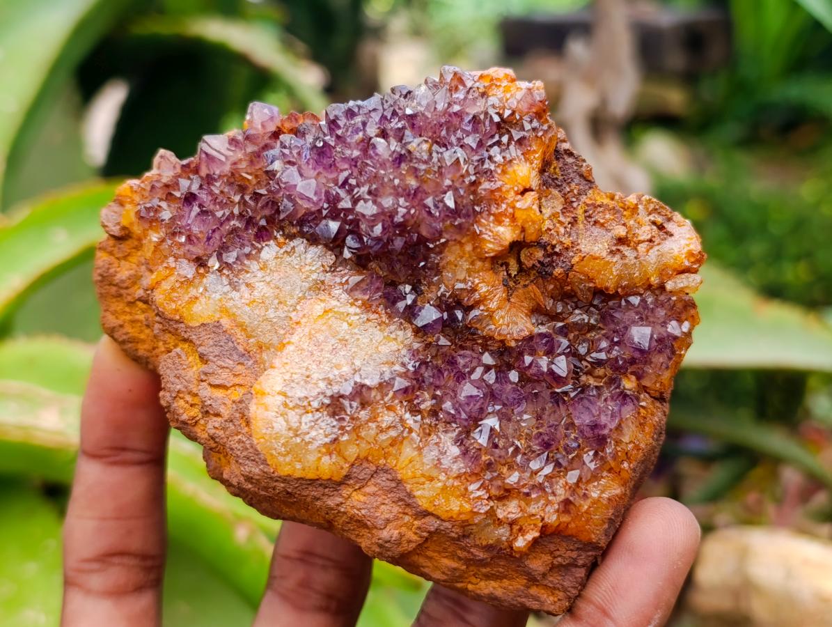 Natural Large Dark Purple Amethyst Quartz Crystal Plates x 6 From Boekenhouthoek, South Africa
