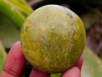Polished Green Opal Palm Stones x 12 From Antsirabe, Madagascar