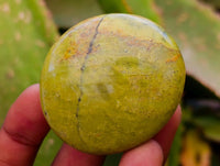 Polished Green Opal Palm Stones x 12 From Antsirabe, Madagascar