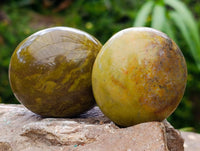 Polished Green Opal Palm Stones x 12 From Antsirabe, Madagascar