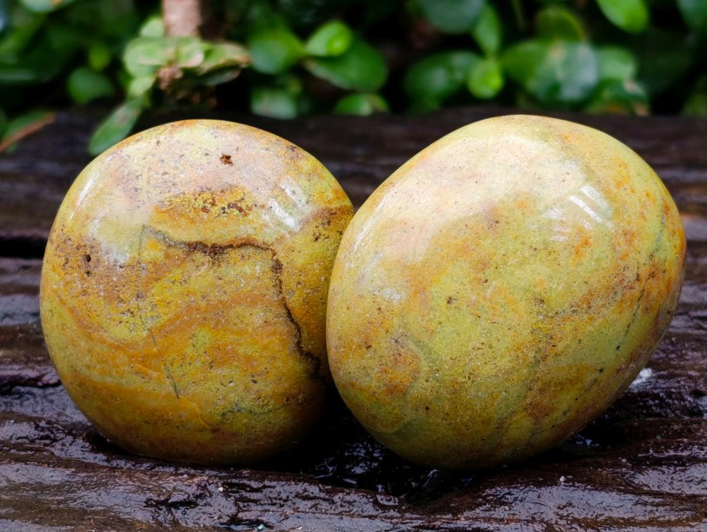 Polished Green Opal Palm Stones x 12 From Antsirabe, Madagascar