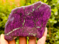 Polished On One Side Metallic Purpurite Slices x 6 From Erongo, Namibia