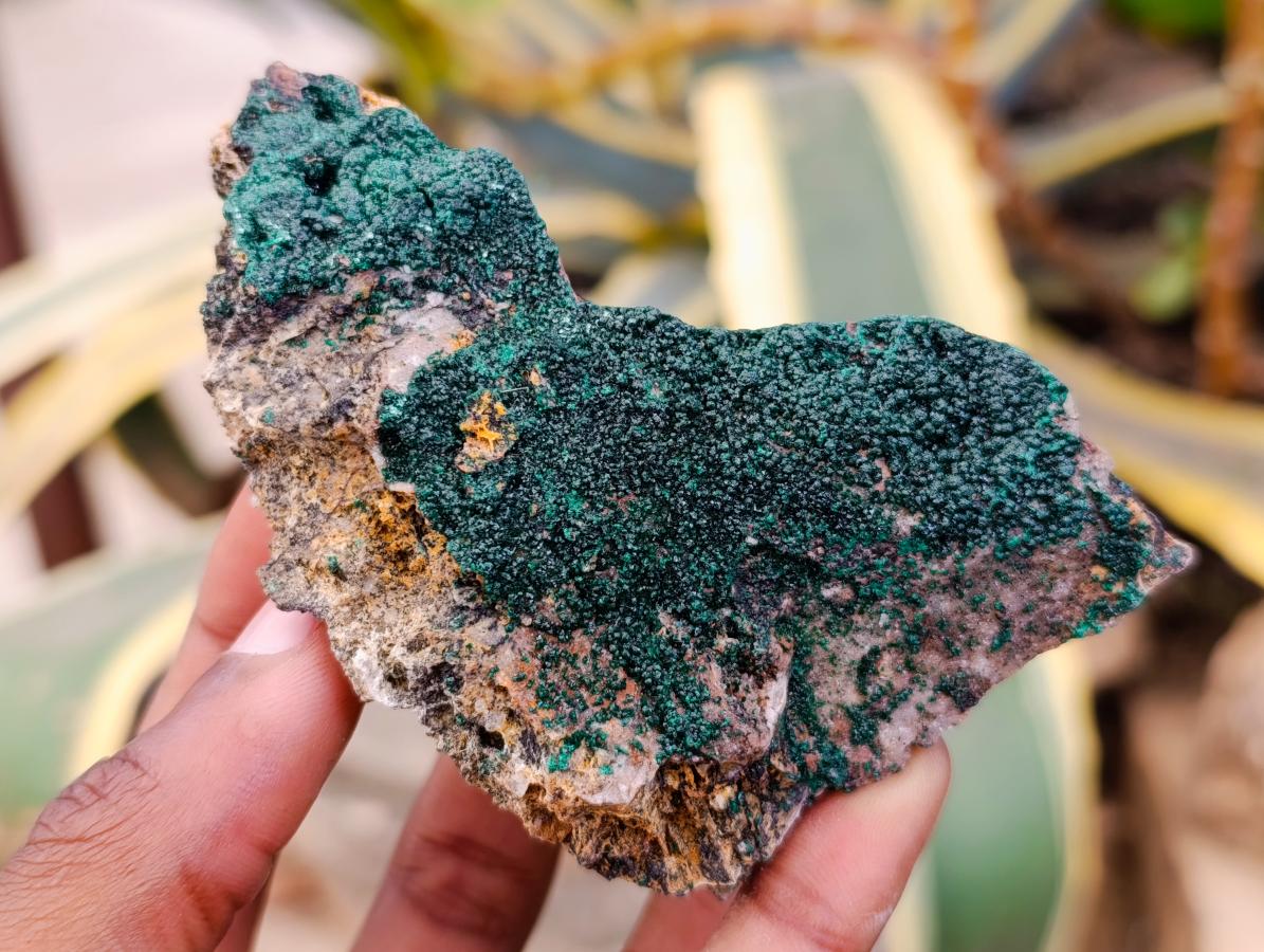 Natural Crystalline Malachite Specimens x 6 From Tenke Fungurume, Congo