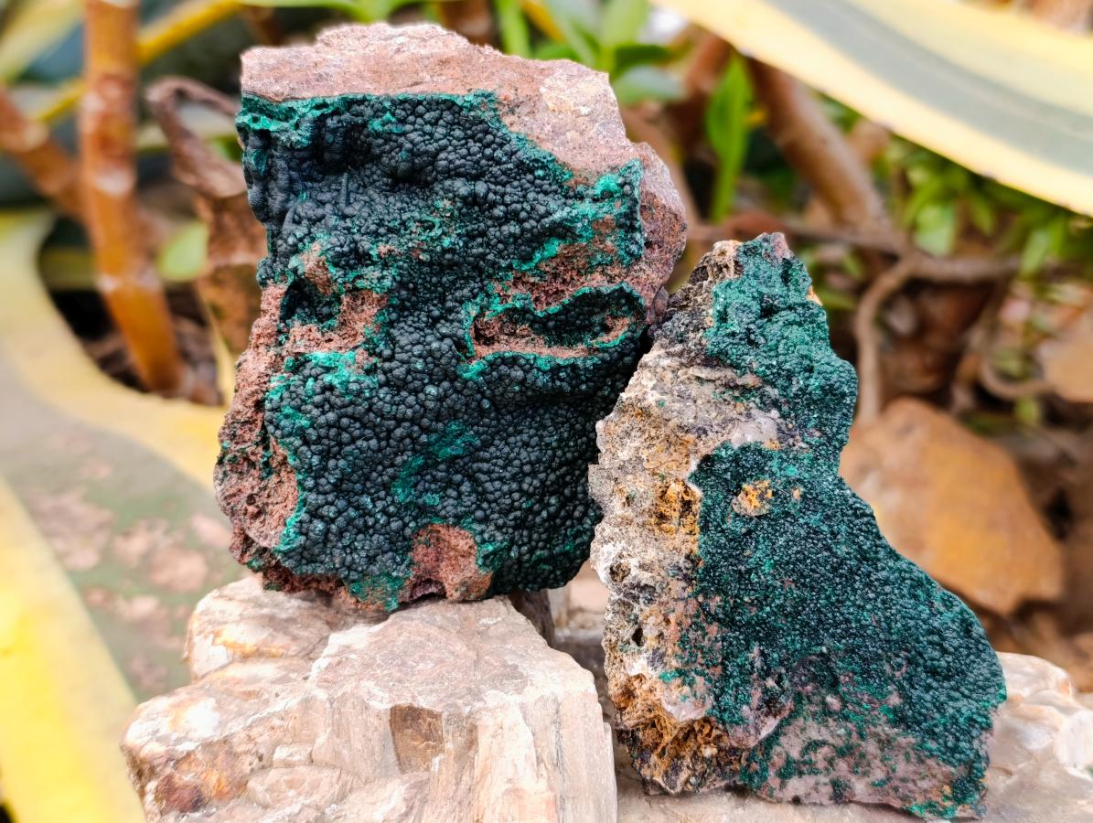 Natural Crystalline Malachite Specimens x 6 From Tenke Fungurume, Congo