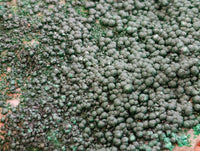 Natural Crystalline Malachite Specimens x 6 From Tenke Fungurume, Congo