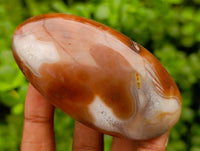 Polished Red Shashe River Agate Galets x 9 From Shashe River, Zimbabwe