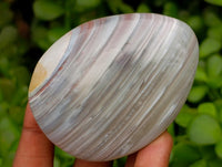 Polished Red Shashe River Agate Galets x 9 From Shashe River, Zimbabwe