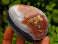Polished Red Shashe River Agate Galets x 9 From Shashe River, Zimbabwe
