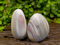 Polished Red Shashe River Agate Galets x 9 From Shashe River, Zimbabwe