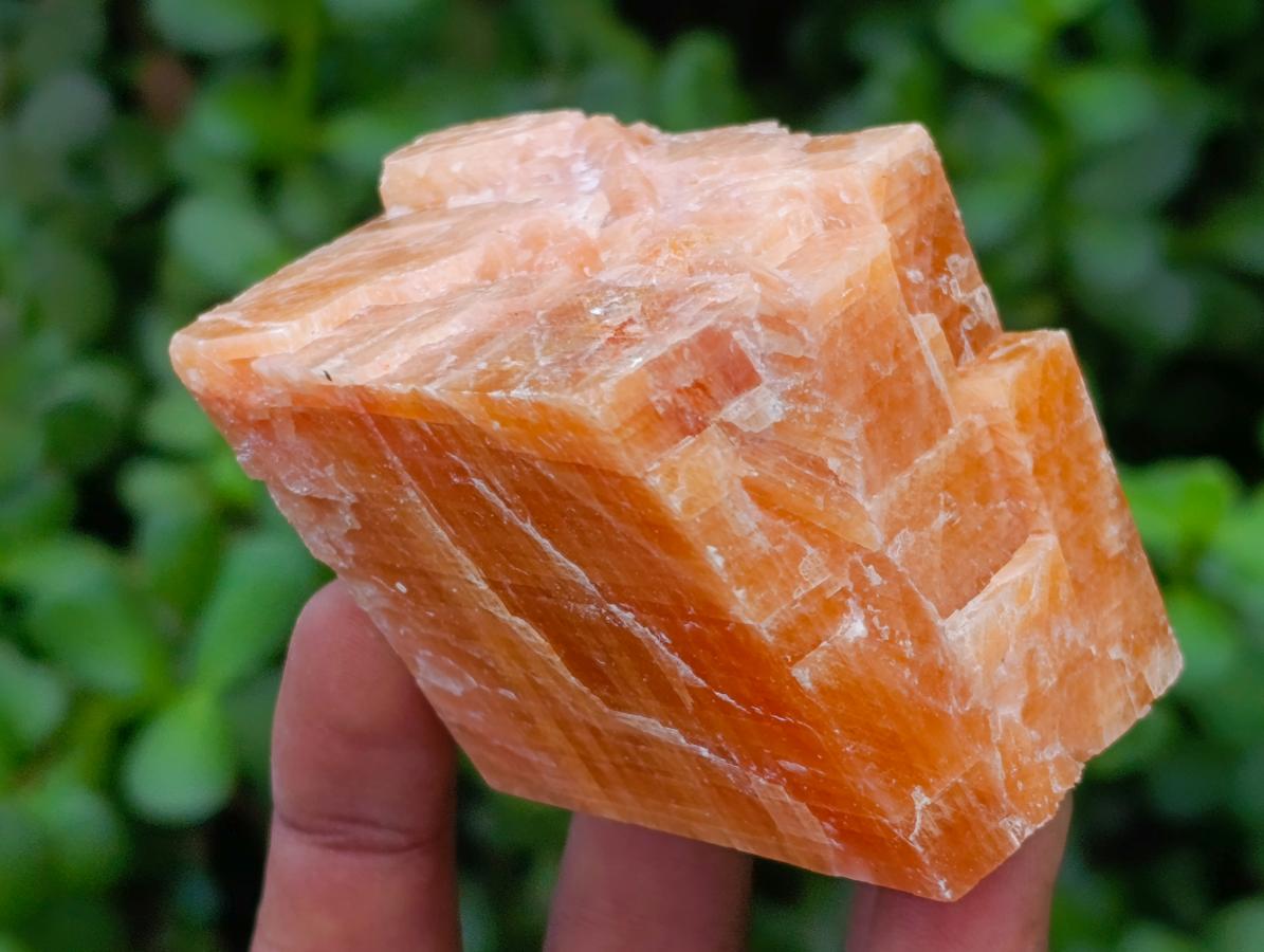 Natural Sunset Orange Calcite Specimens x 12 From Spitzkop, Namibia