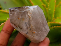 Polished Smokey Window Quartz Crystals with Mixed Formations x 6 From Madagascar