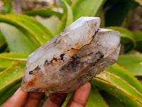 Polished Smokey Window Quartz Crystals with Mixed Formations x 6 From Madagascar