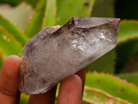 Polished Smokey Window Quartz Crystals with Mixed Formations x 6 From Madagascar