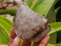 Polished Smokey Window Quartz Crystals with Mixed Formations x 6 From Madagascar