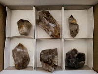 Polished Smokey Window Quartz Crystals with Mixed Formations x 6 From Madagascar
