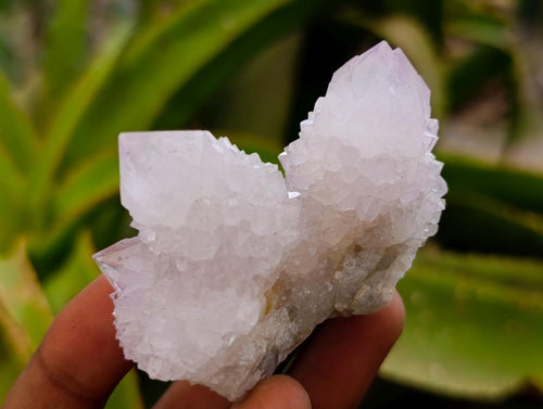 Natural Cactus Flower Lilac Spirit Clusters x 12 From South Africa - Toprock Gemstones and Minerals 