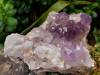 Natural Jacaranda Amethyst Crystal Clusters x 2 From Mumbwa, Zambia