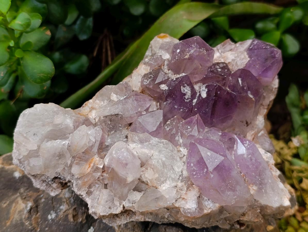 Natural Jacaranda Amethyst Crystal Clusters x 2 From Mumbwa, Zambia
