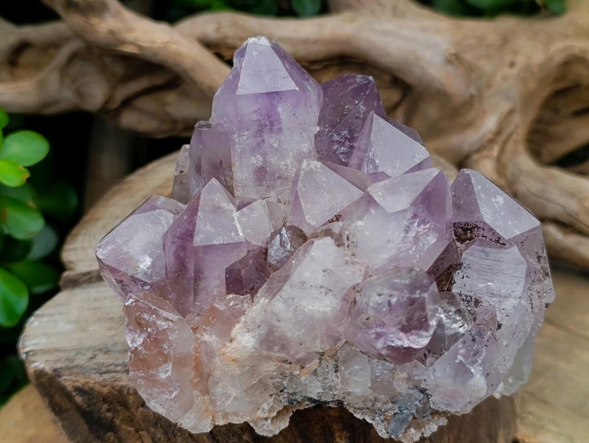 Natural Jacaranda Amethyst Crystal Clusters x 2 From Mumbwa, Zambia