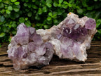 Natural Jacaranda Amethyst Crystal Clusters x 2 From Mumbwa, Zambia