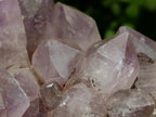 Natural Jacaranda Amethyst Crystal Clusters x 2 From Mumbwa, Zambia
