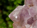 Natural Jacaranda Amethyst Crystal Clusters x 2 From Mumbwa, Zambia