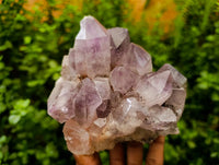 Natural Jacaranda Amethyst Crystal Clusters x 2 From Mumbwa, Zambia