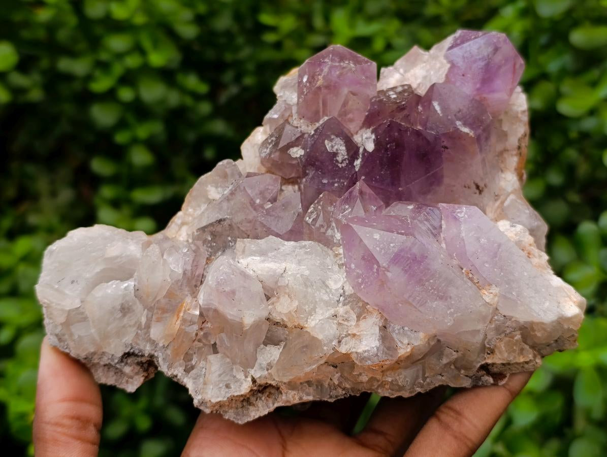 Natural Jacaranda Amethyst Crystal Clusters x 2 From Mumbwa, Zambia