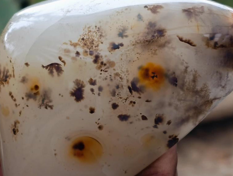 Polished Dendritic Agate Standing Nodules x 4 From Moralambo, Madagascar