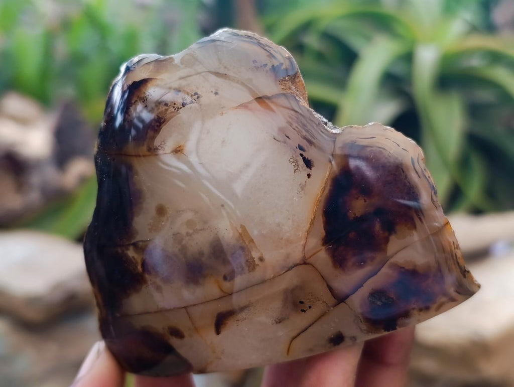 Polished Dendritic Agate Standing Nodules x 4 From Moralambo, Madagascar