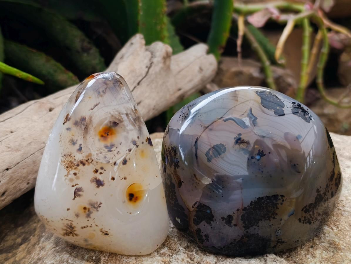 Polished Dendritic Agate Standing Nodules x 4 From Moralambo, Madagascar