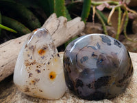Polished Dendritic Agate Standing Nodules x 4 From Moralambo, Madagascar