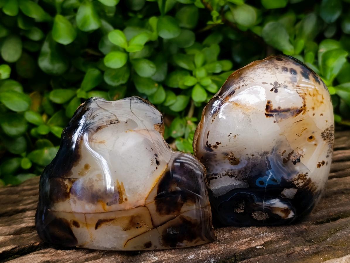 Polished Dendritic Agate Standing Nodules x 4 From Moralambo, Madagascar