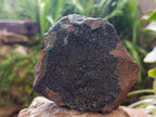 Natural Libethenite Crystals On Dolomite Matrix Specimens x 2 From Shituru, Congo