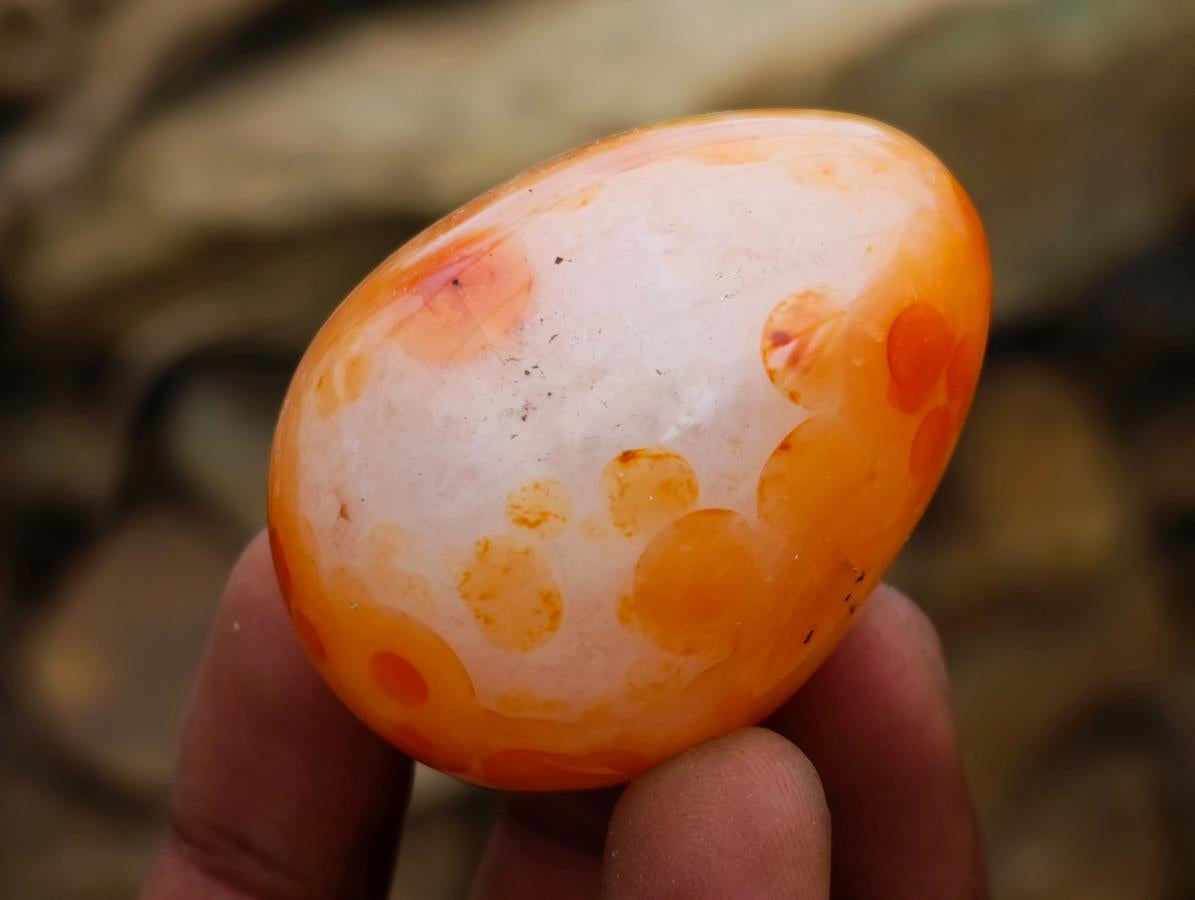 Polished Carnelian Agate Gemstone Eggs x 12 From Madagascar