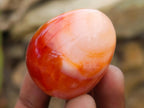 Polished Carnelian Agate Gemstone Eggs x 12 From Madagascar