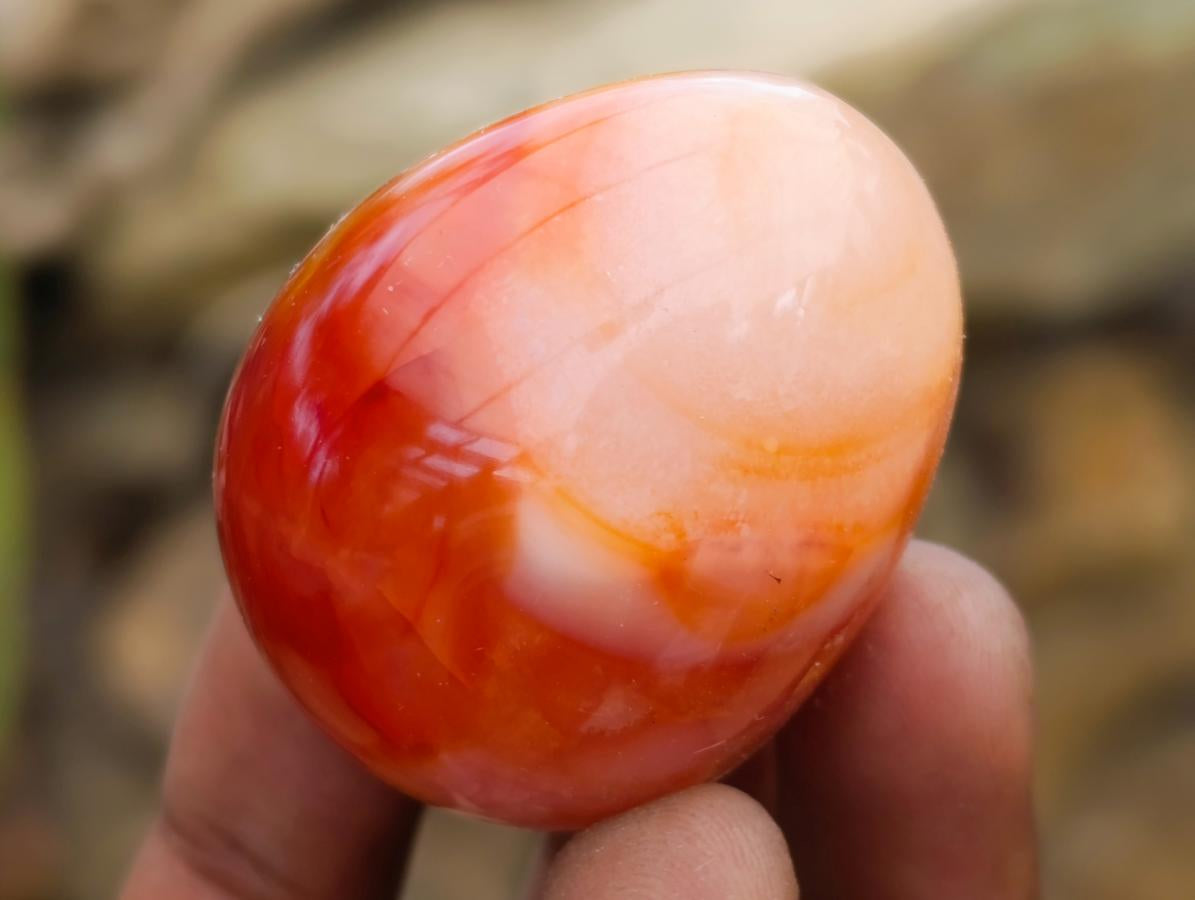 Polished Carnelian Agate Gemstone Eggs x 12 From Madagascar
