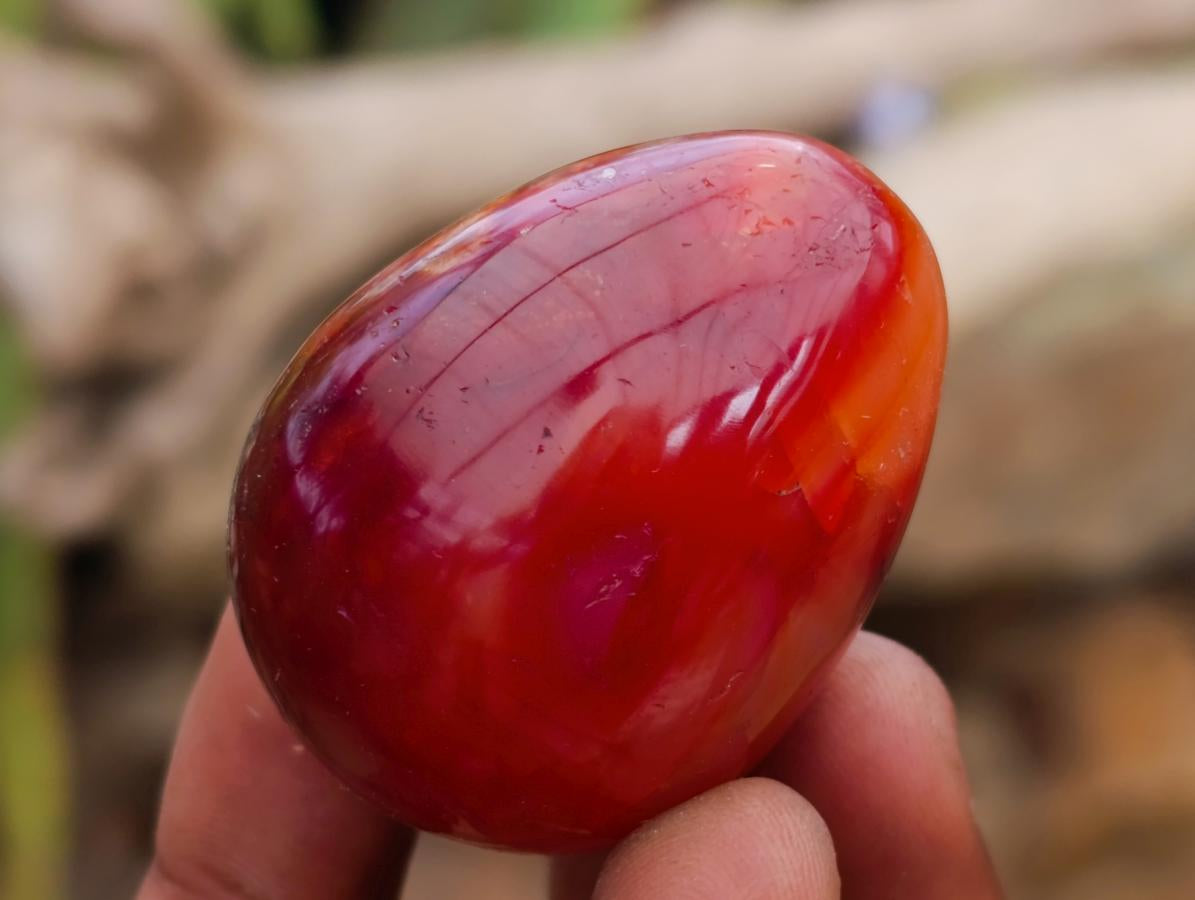 Polished Carnelian Agate Gemstone Eggs x 12 From Madagascar
