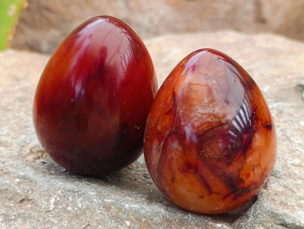 Polished Carnelian Agate Gemstone Eggs x 12 From Madagascar