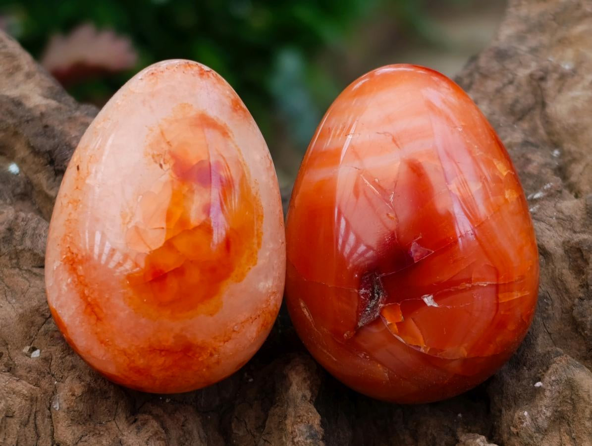 Polished Carnelian Agate Gemstone Eggs x 12 From Madagascar