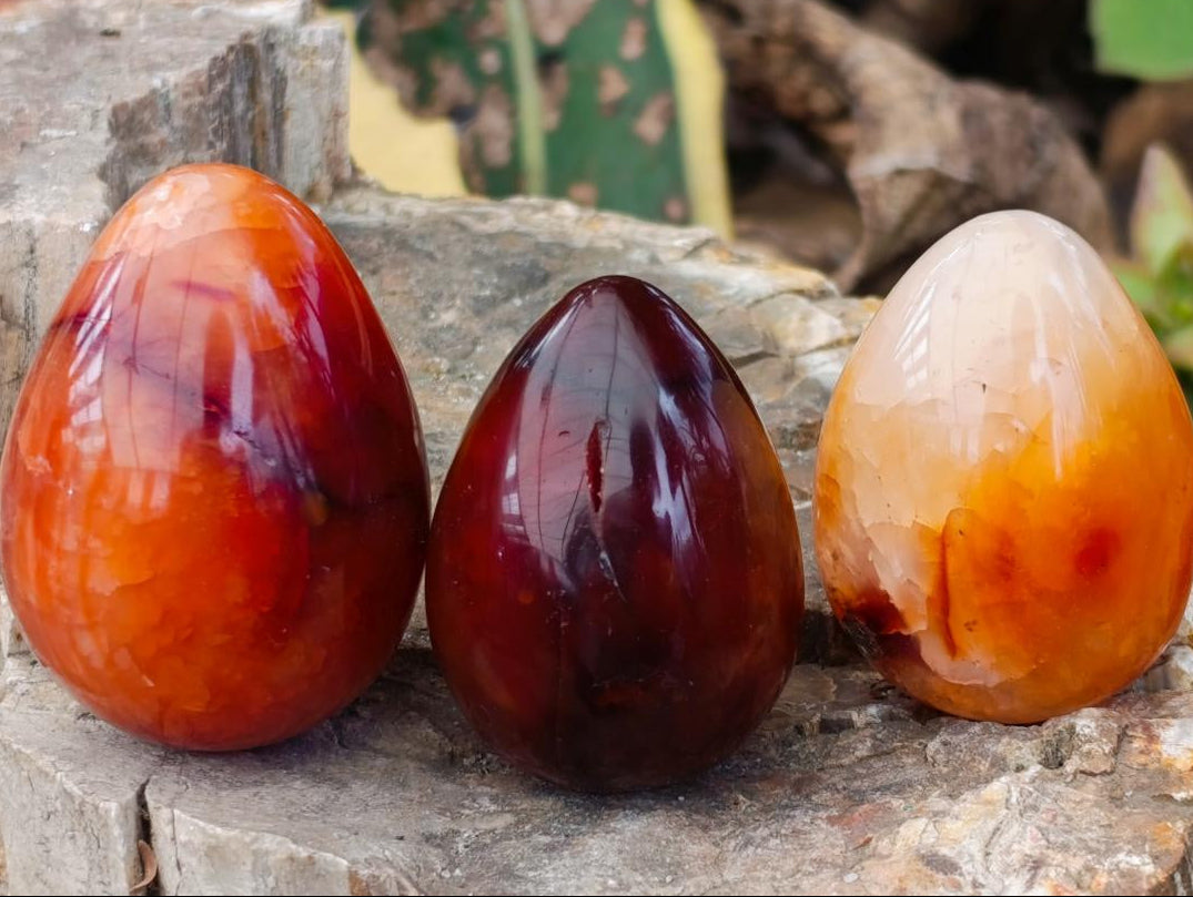 Polished Carnelian Agate Gemstone Eggs x 12 From Madagascar