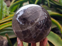 Polished Large Smokey Quartz Sphere x 1 From Madagascar